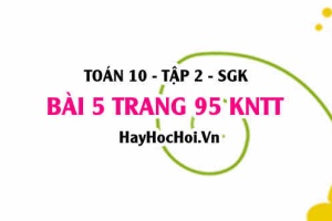 Bài 5 trang 95 Toán 10 tập 2 Kết nối tri thức